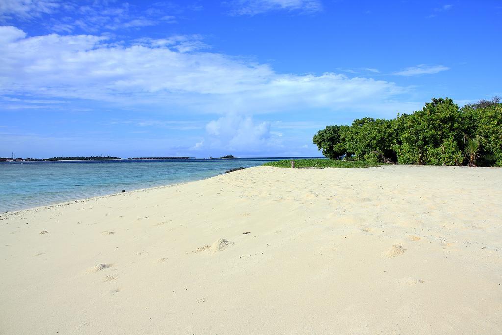 Tropic Tree Maldives Hotel Bãi biển Bãi biển Gulhi Ngoại thất bức ảnh