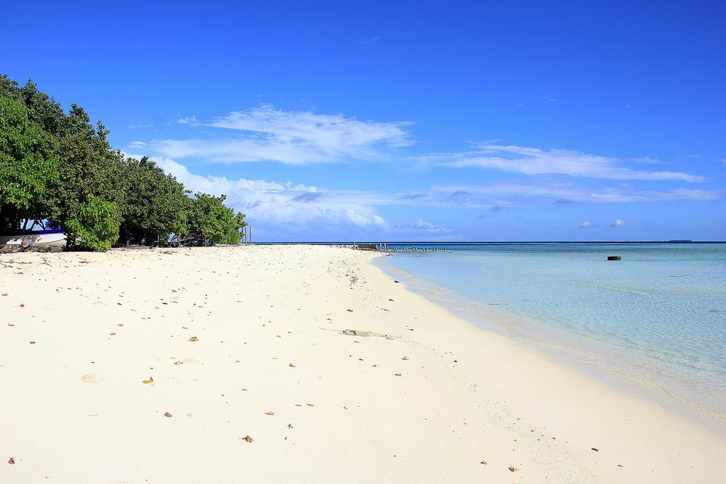 Tropic Tree Maldives Hotel Bãi biển Bãi biển Gulhi Ngoại thất bức ảnh