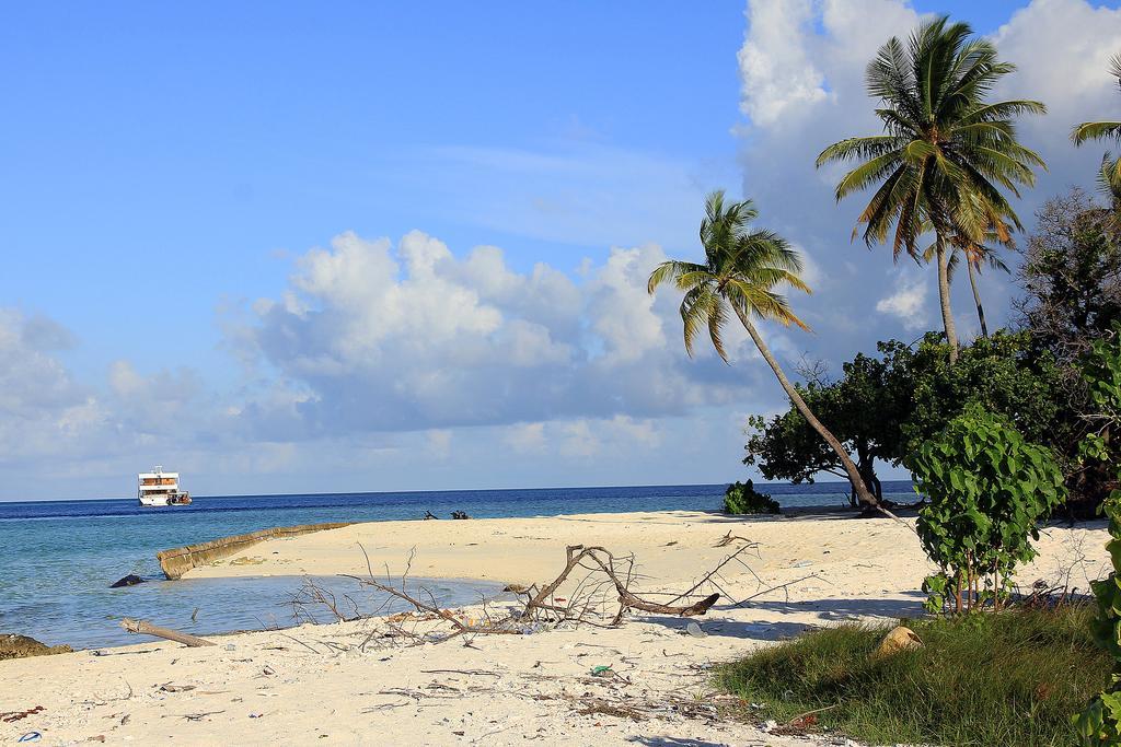 Tropic Tree Maldives Hotel Bãi biển Bãi biển Gulhi Ngoại thất bức ảnh