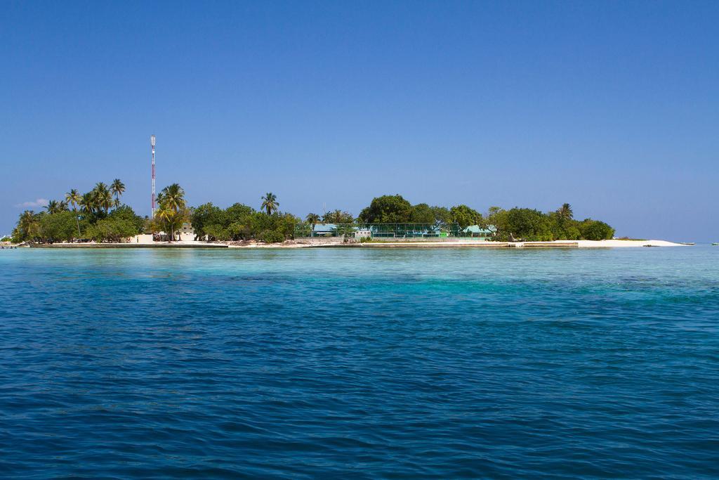Tropic Tree Maldives Hotel Bãi biển Bãi biển Gulhi Ngoại thất bức ảnh